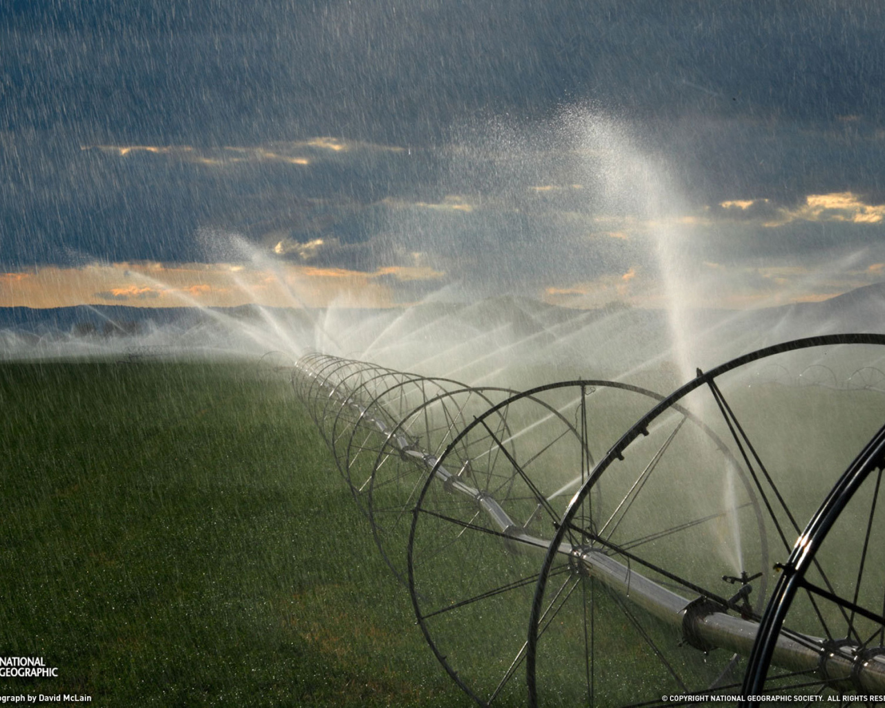 Орошение на полях