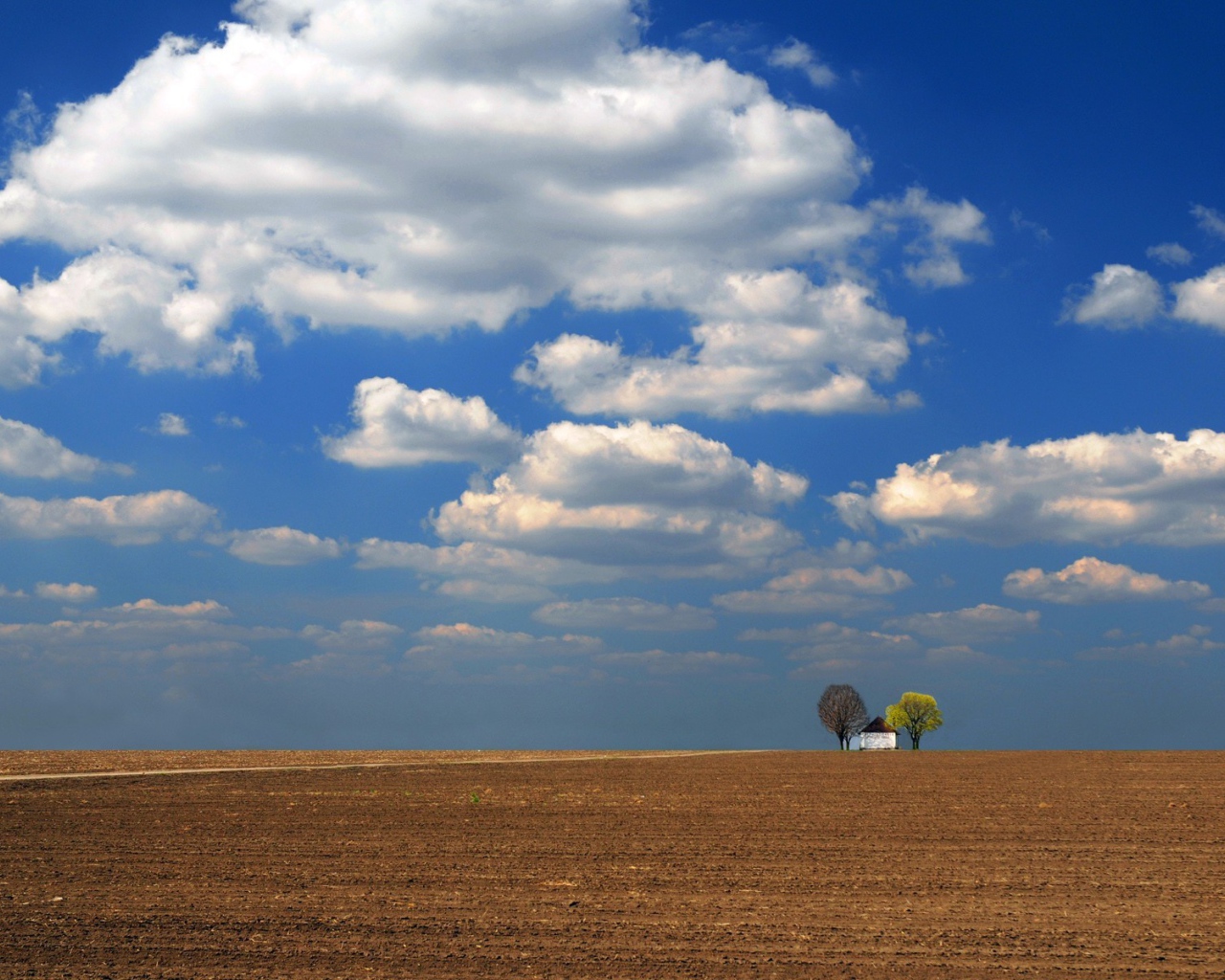 Одинокое строение среди вспаханного поля