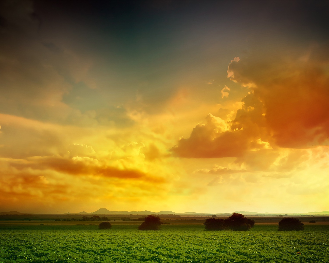 Оранжевое небо над зеленым полем