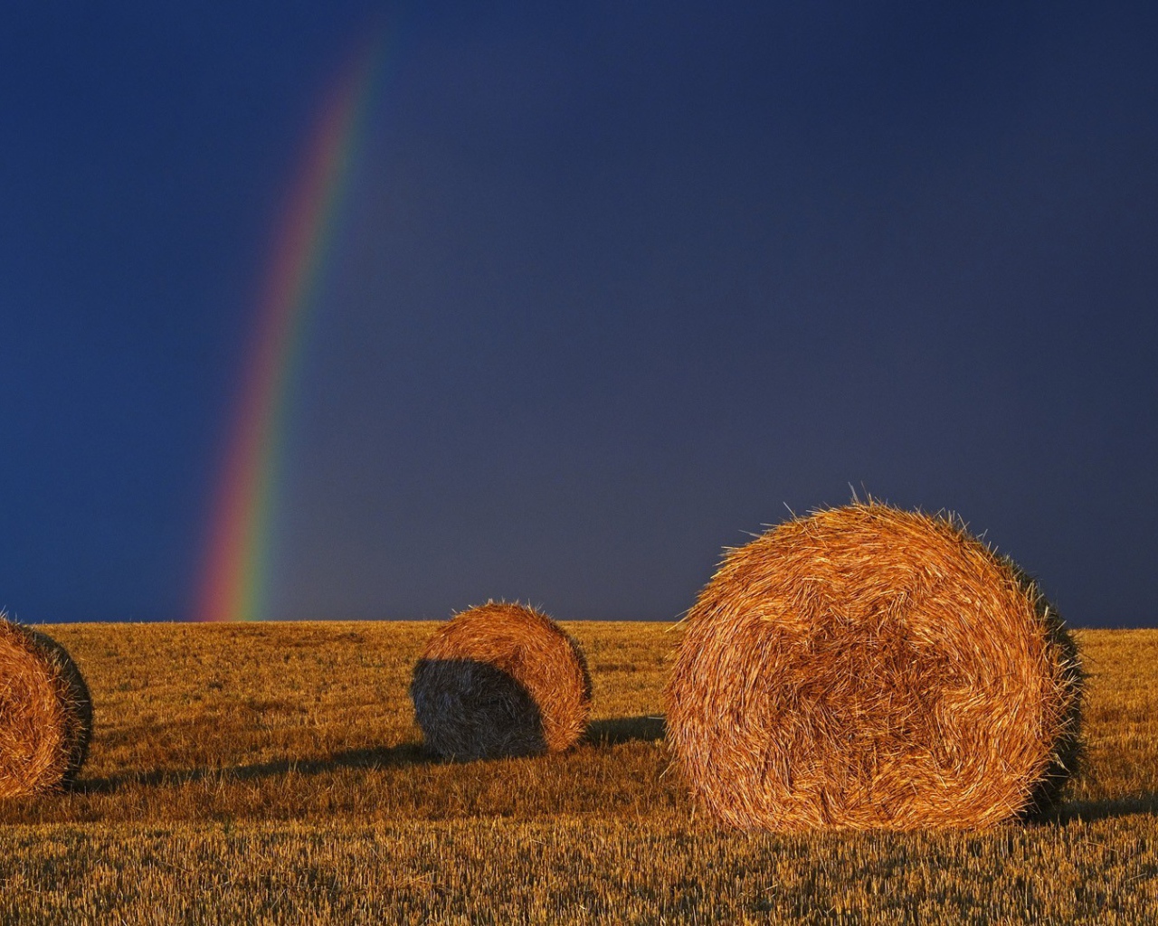 Радуга позади убранного поля