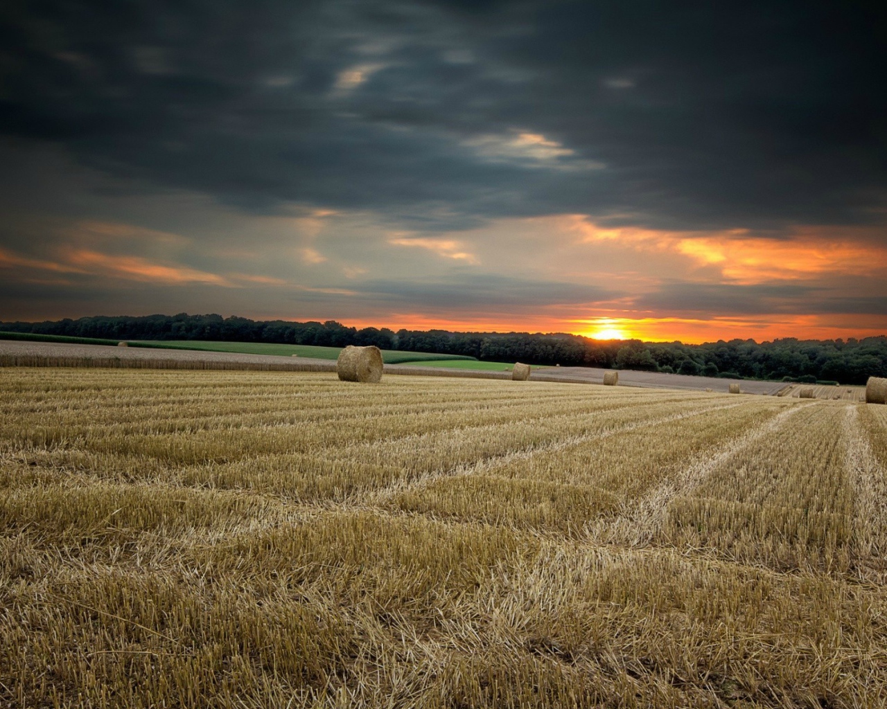 Убранное поле с сеном