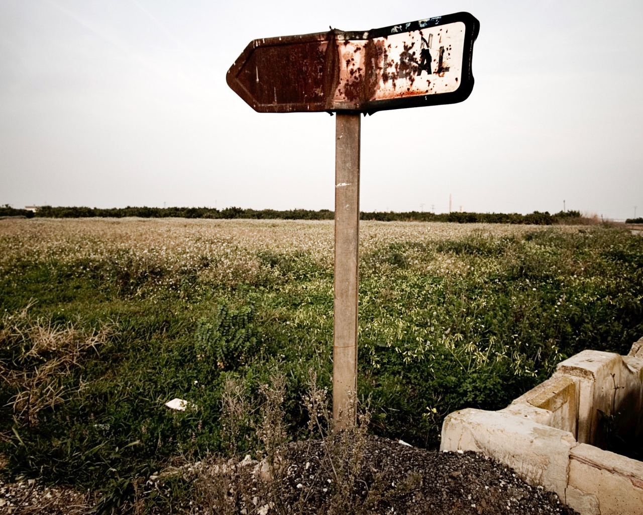 Ржавый указатель направления у поля