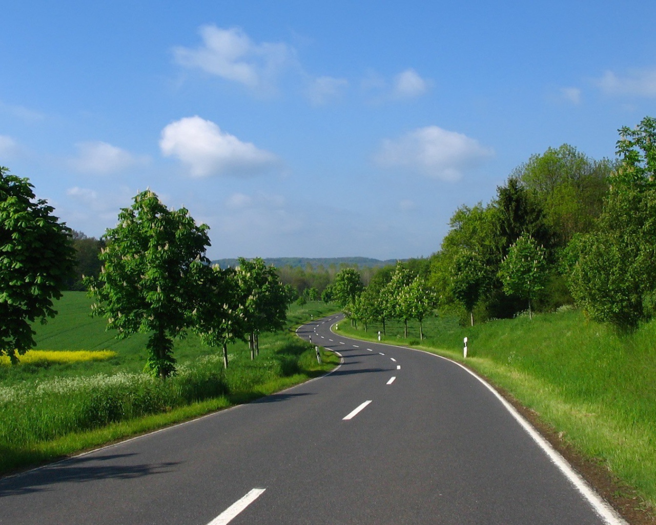 Ровная дорога среди полей в Украине