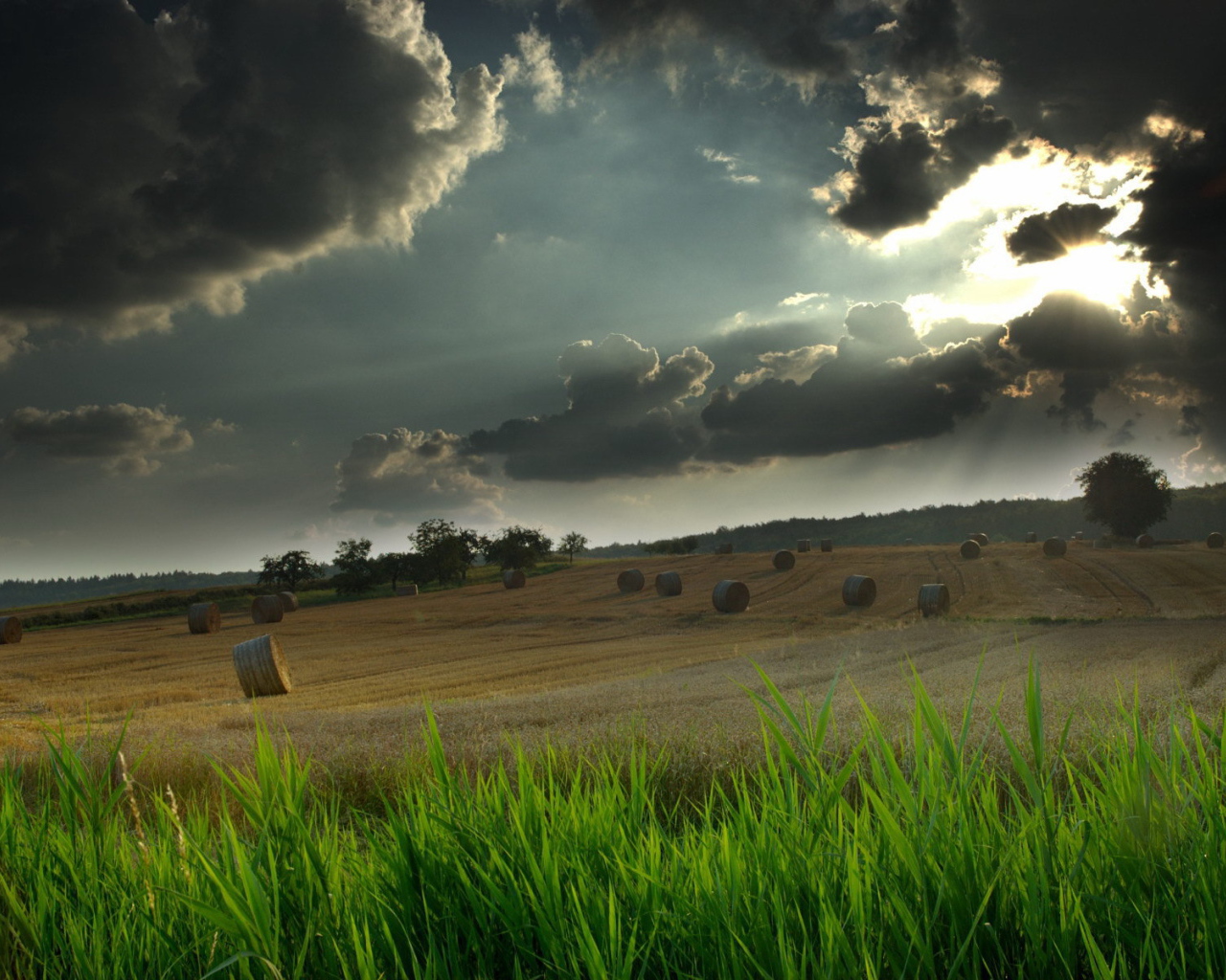 Грозовые тучи над полем