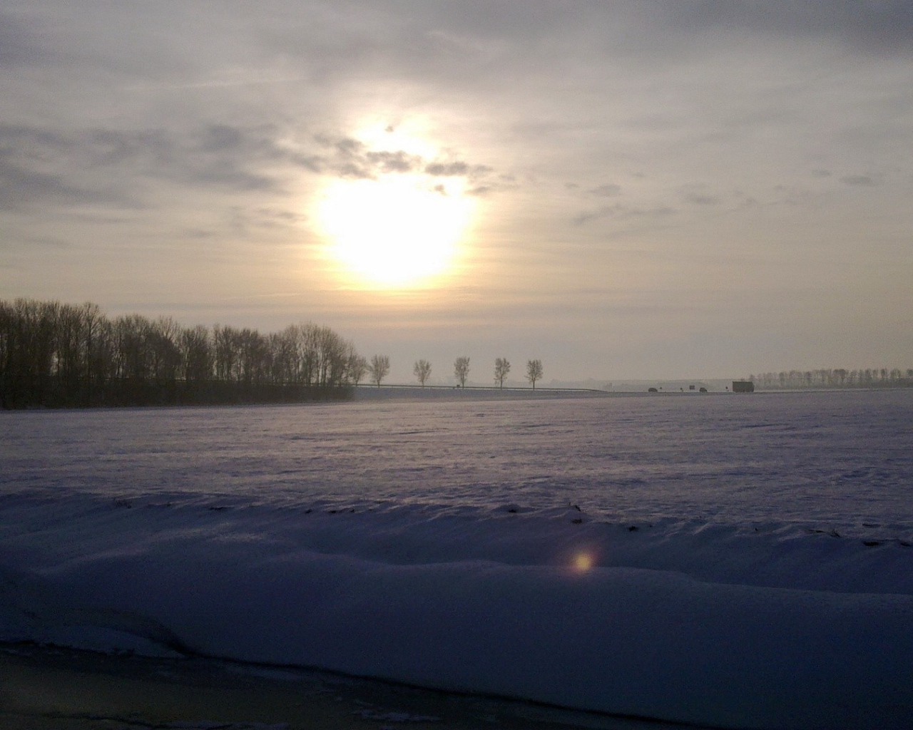 Заметенное снегом поле