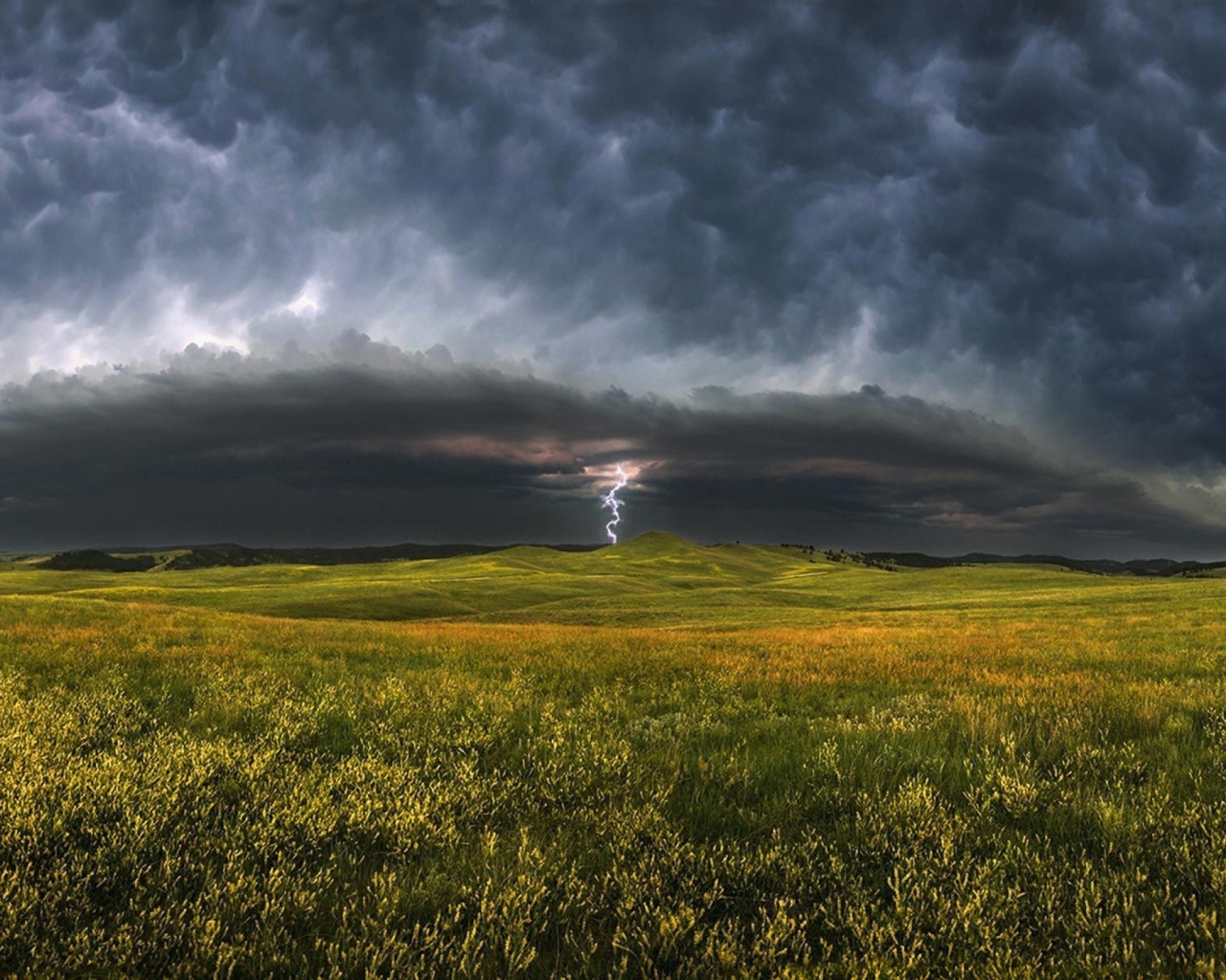 Гроза приближается к зеленому полю