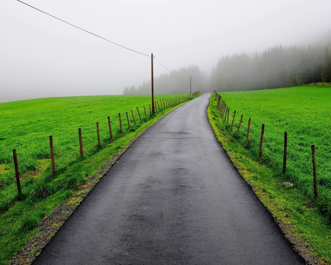 Мокрая дорога между зеленых полей