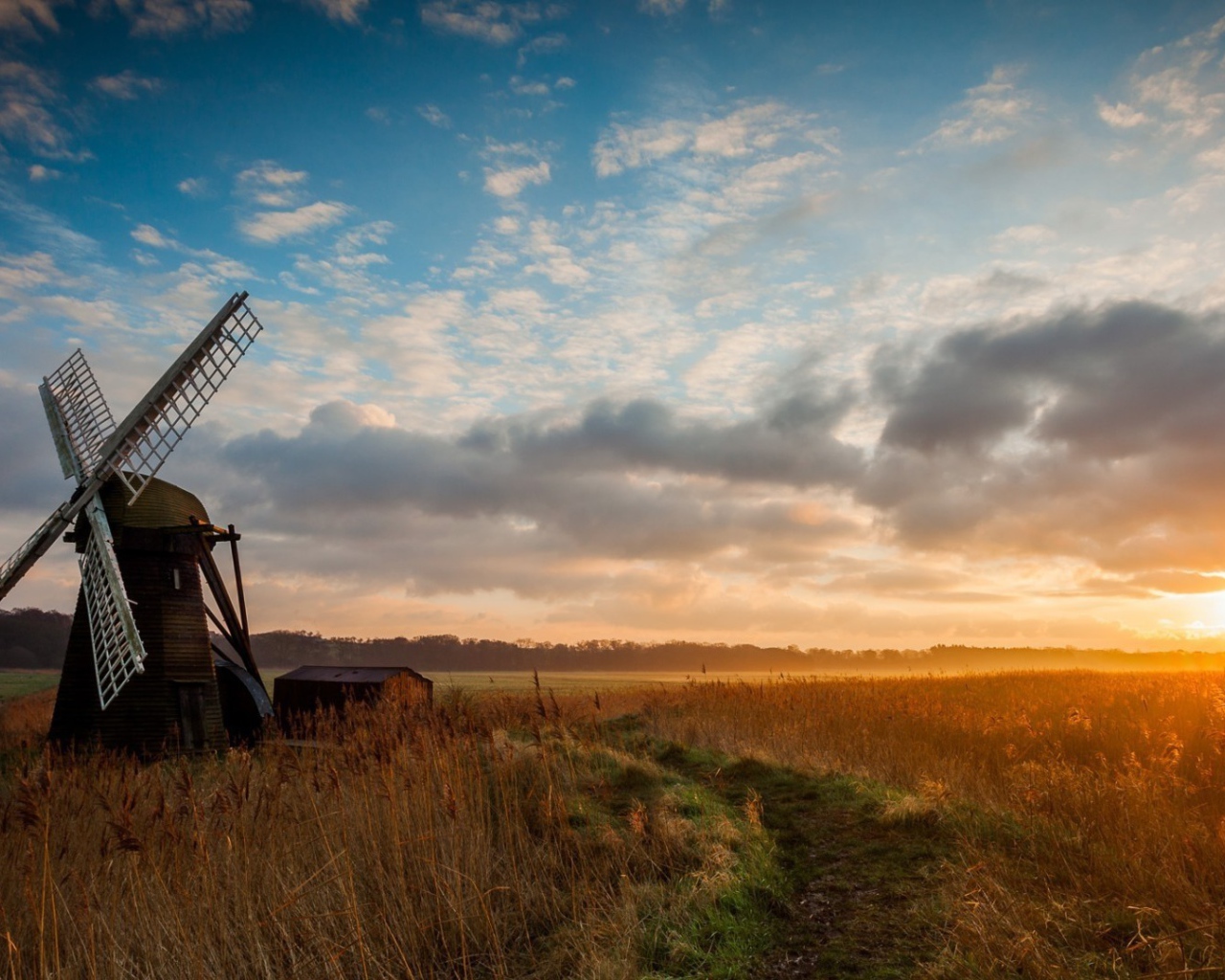 Мельница среди поля на фоне заката