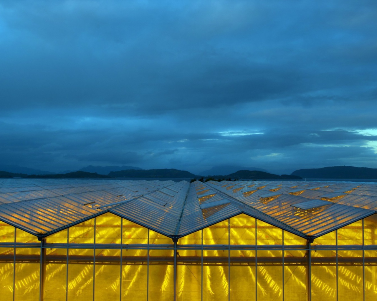 Желтый свет в стеклянных теплицах