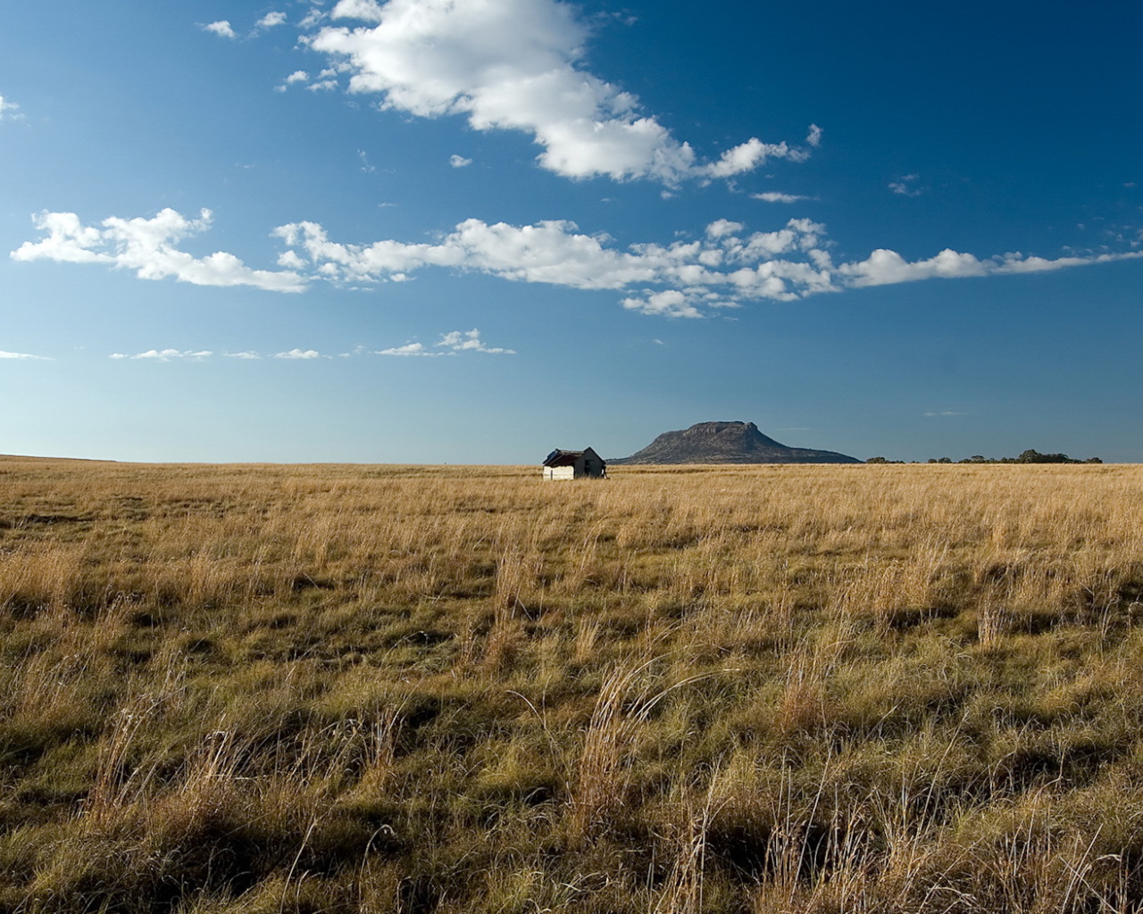 Одинокий дом посередине поля