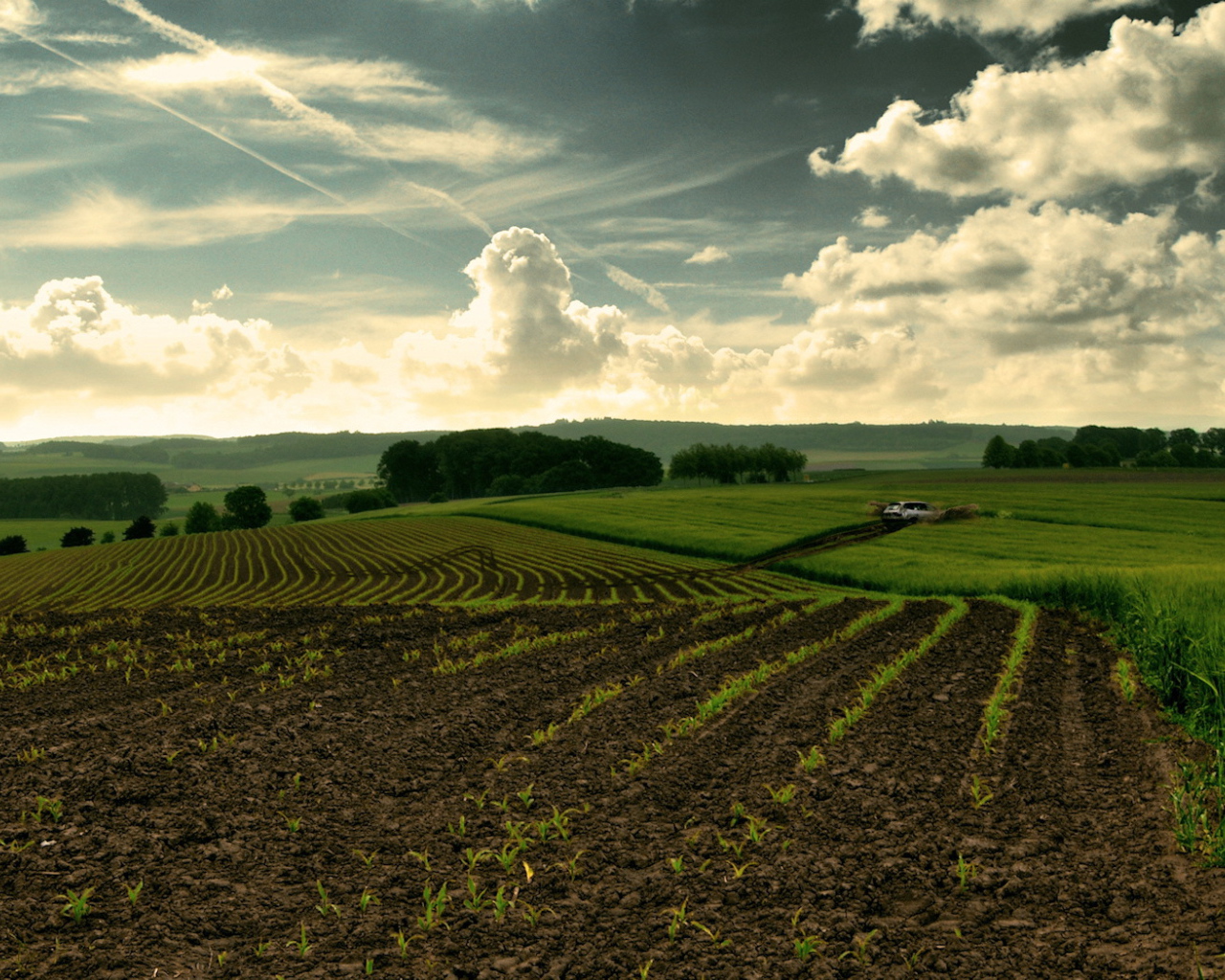 Перепаханное поле