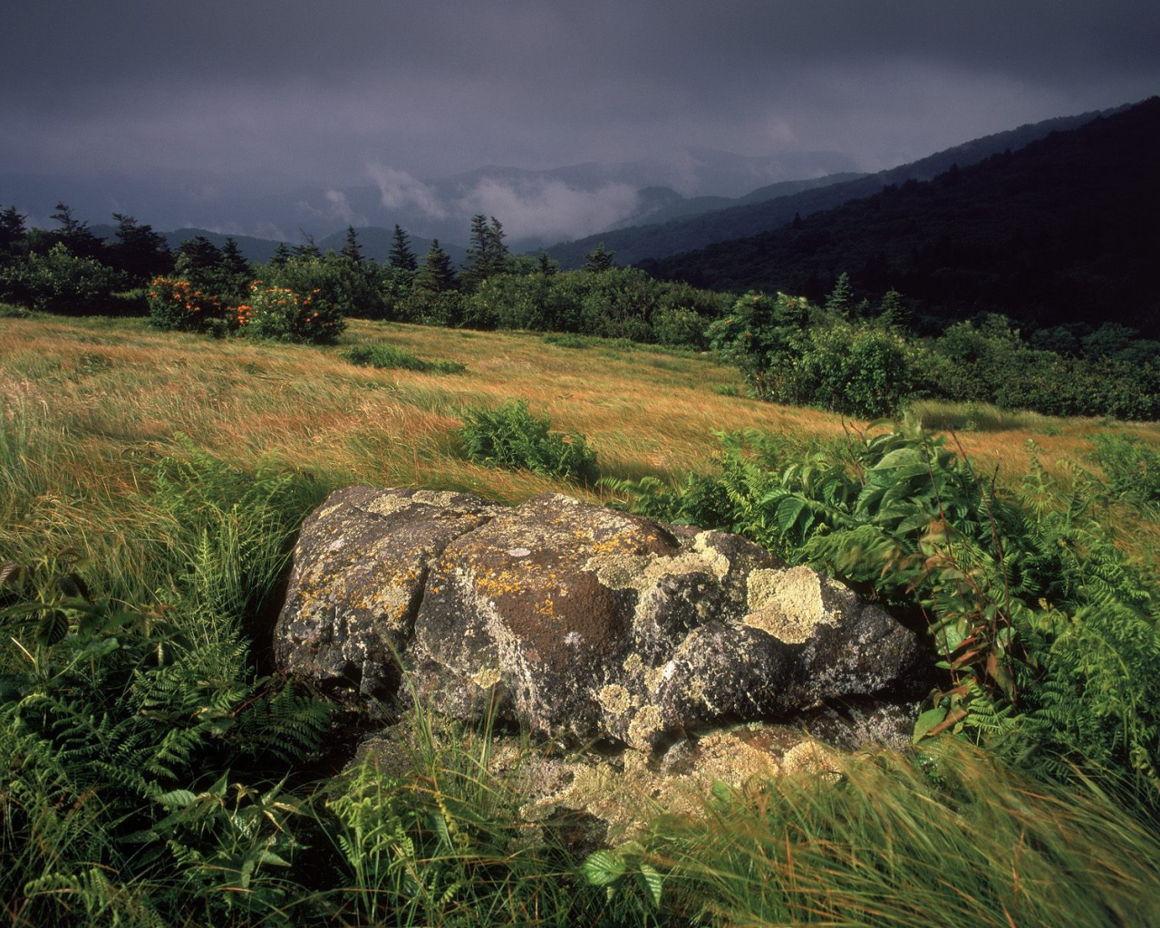 Камень посреди поля