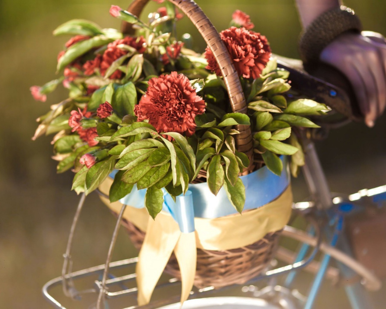 Корзина цветов на багажнике велосипеда