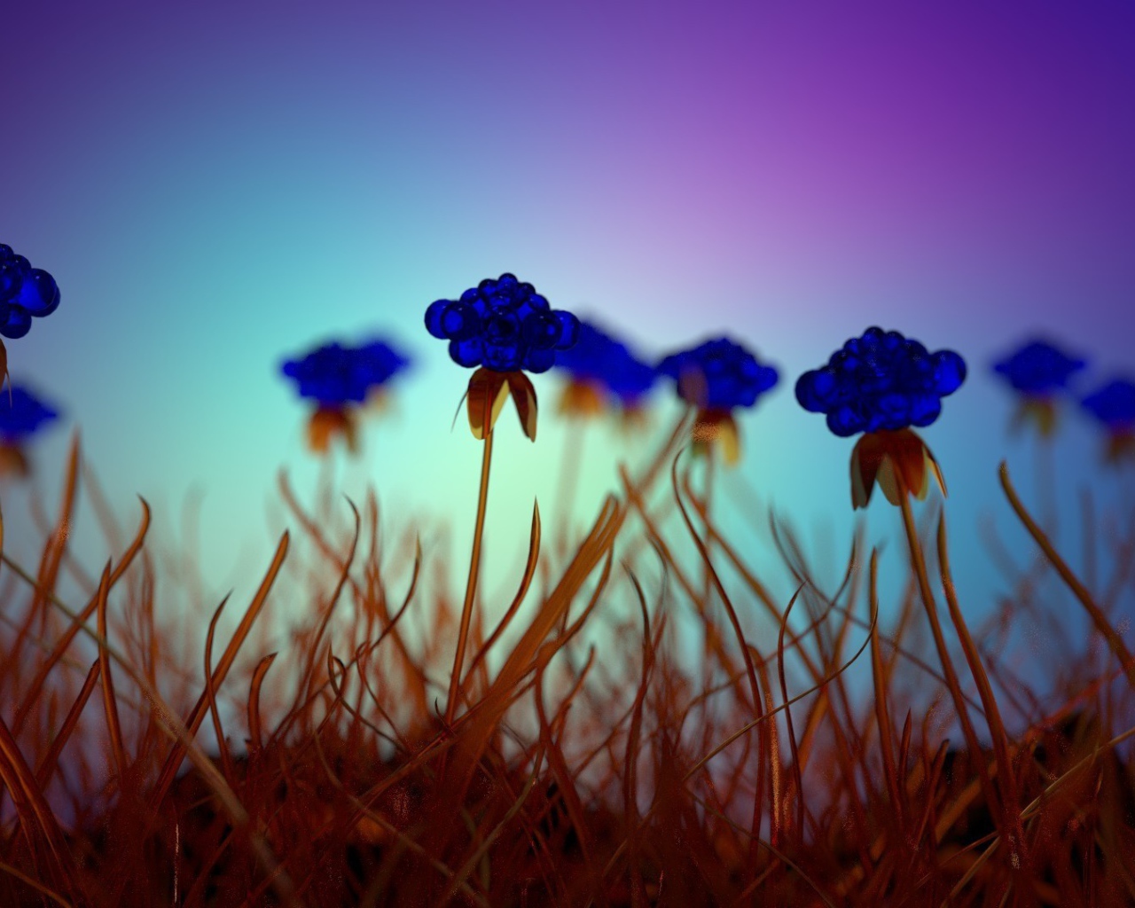 Засохшие голубые цветы