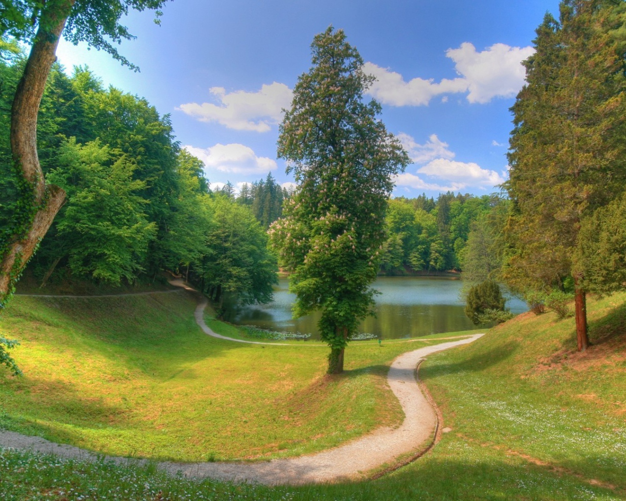 Тихое озерцо в лесной чаще