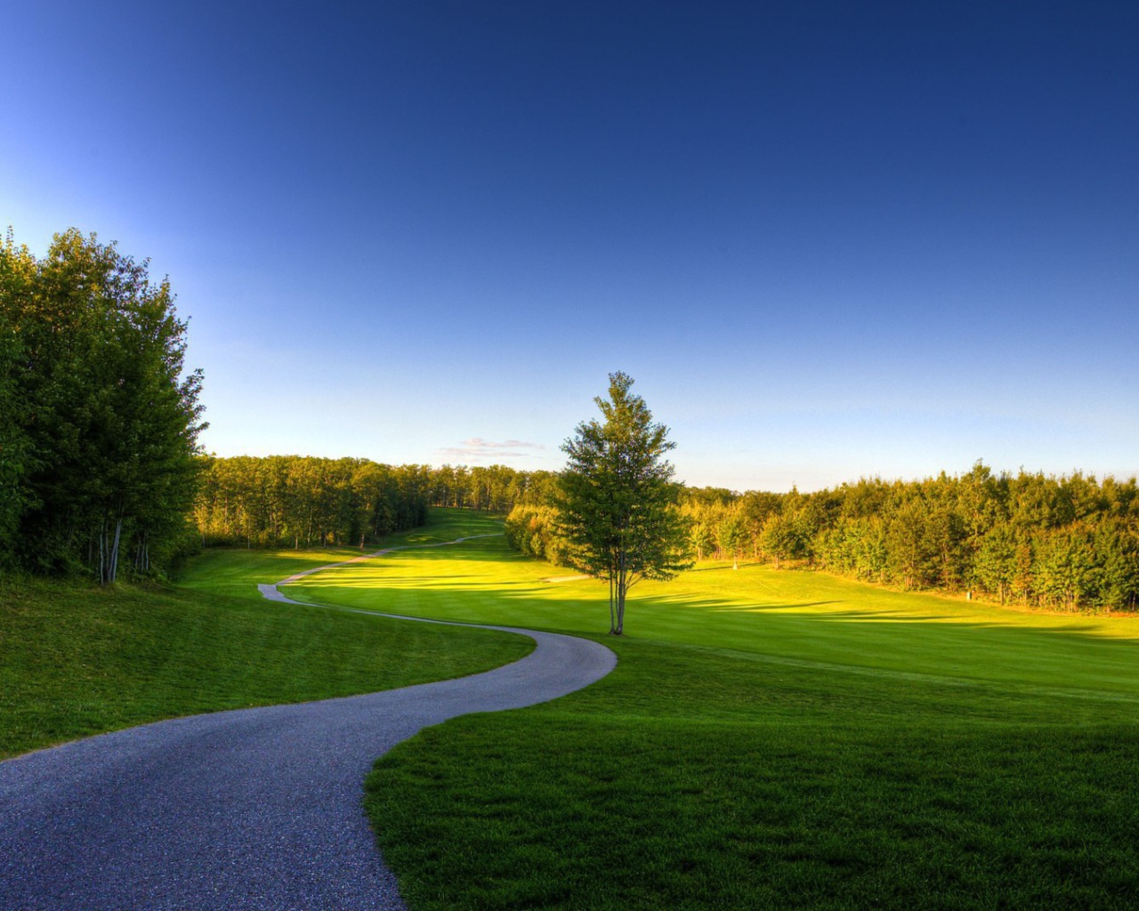 Извилистая дорожка в лесу