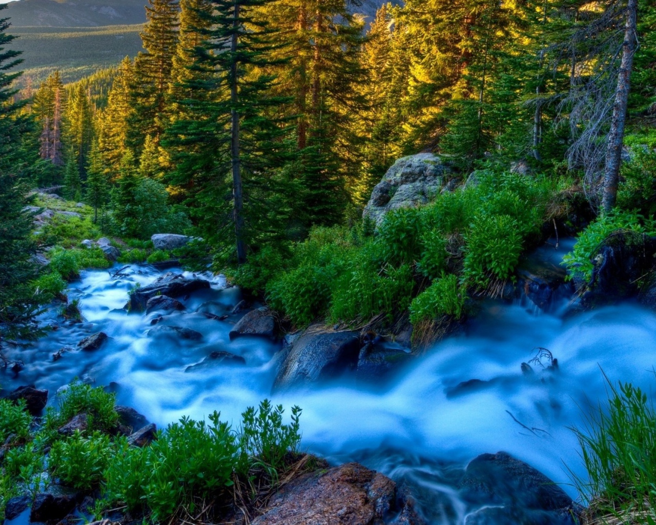 Голубой ручей среди горного леса