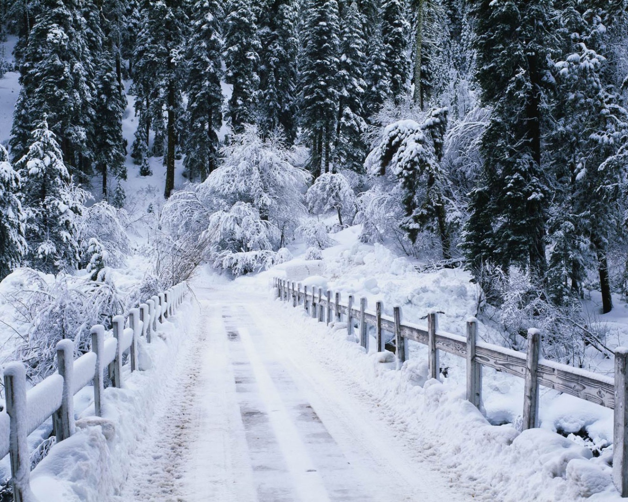 Мост перед лесом усыпан снегом