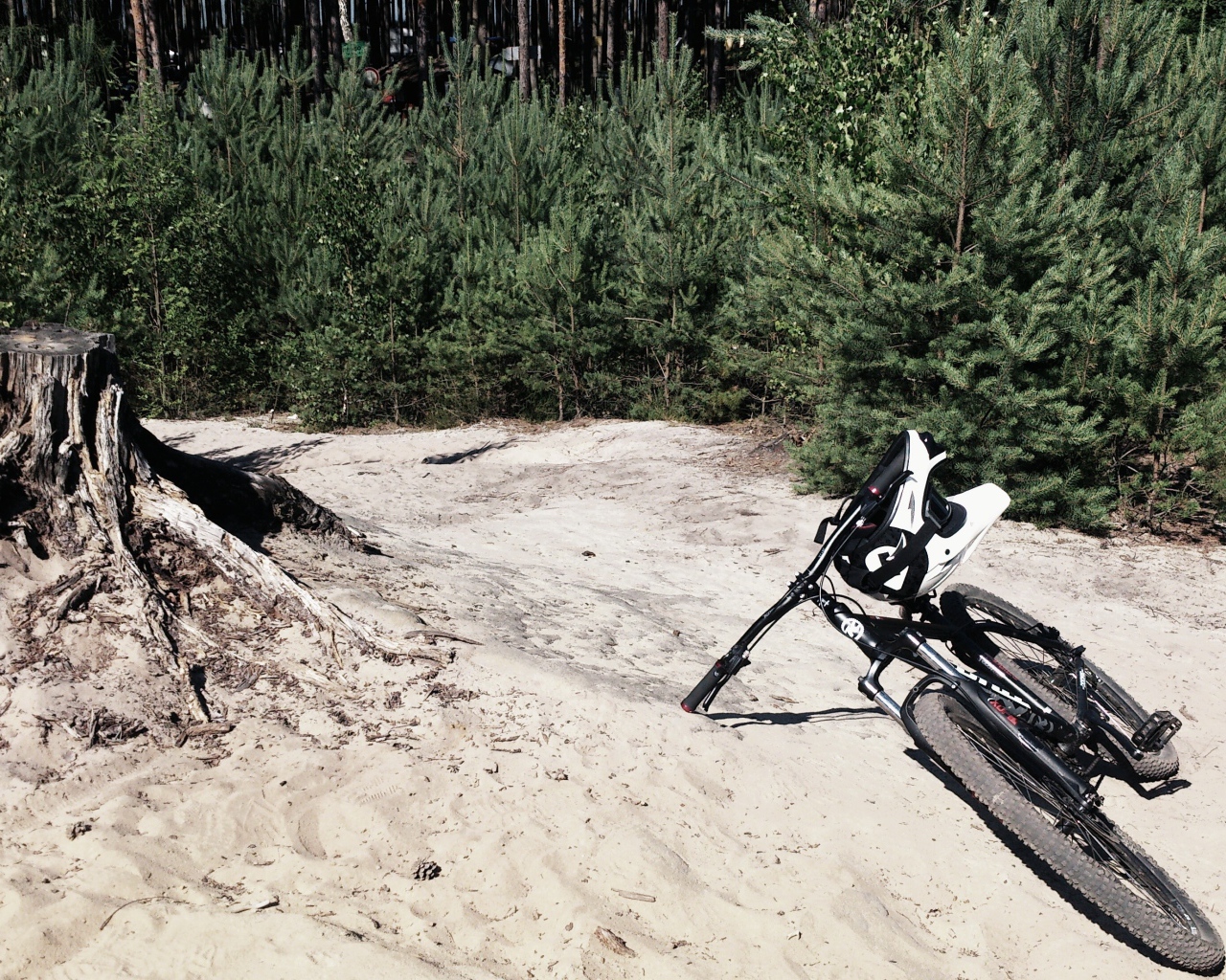 Велосипед у пенька среди леса