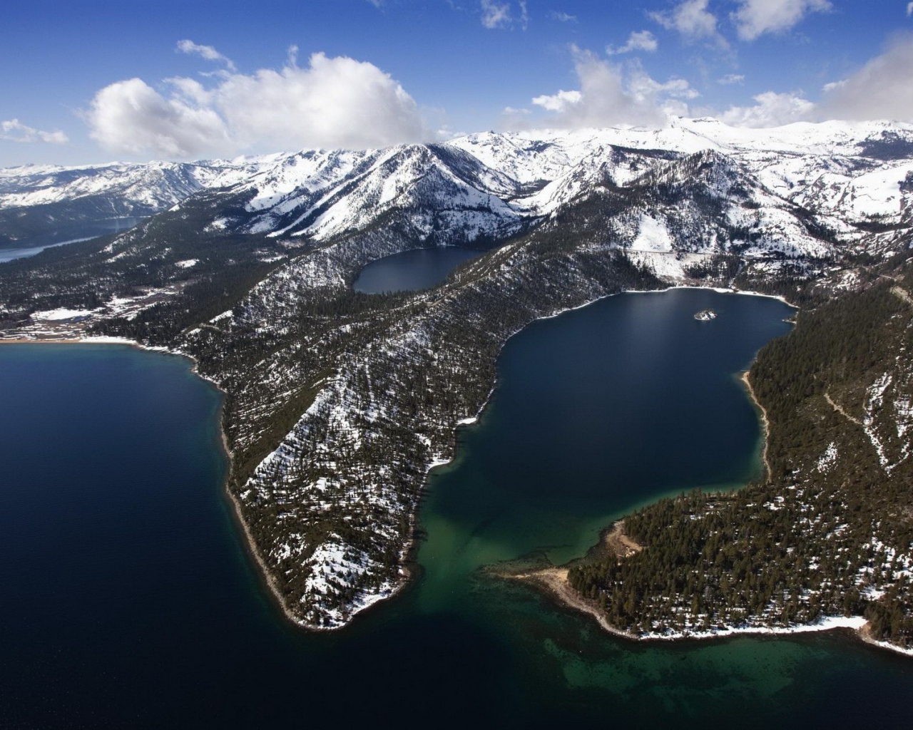 Густой заснеженный лес в горах, спускающихся к морю