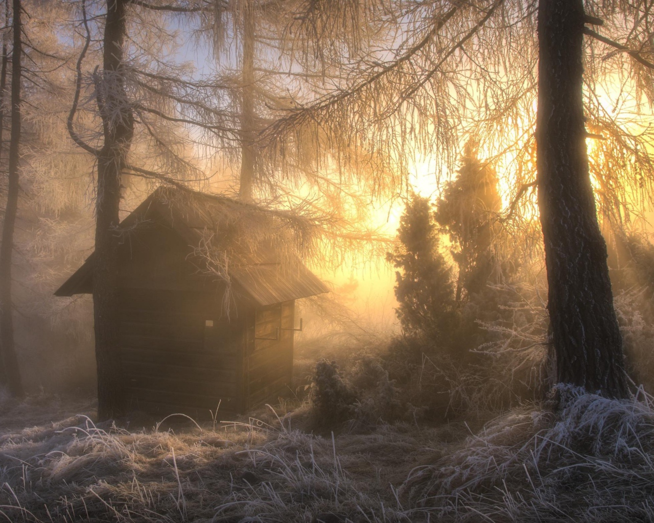 Охотничья избушка в морозном лесу