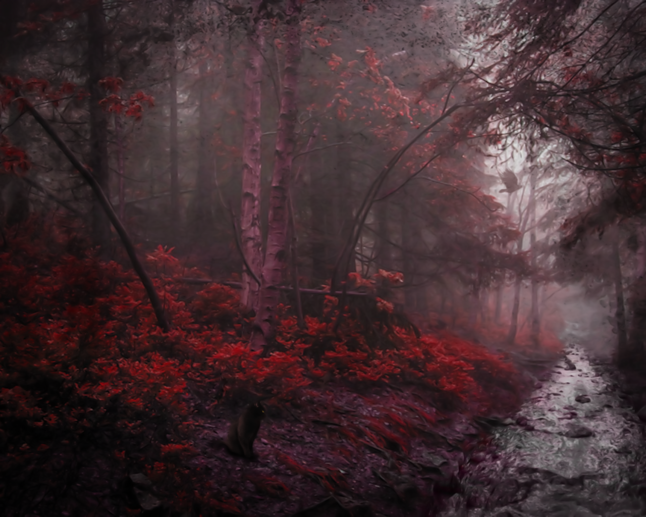 Река в чаще мрачного красного леса