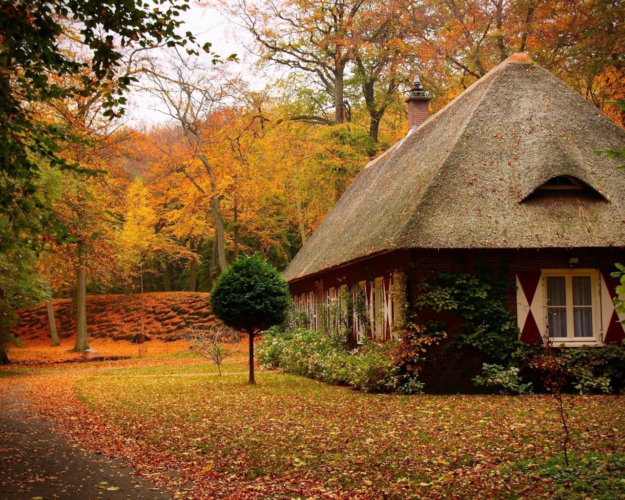 Уединенный домик в чаще осеннего леса