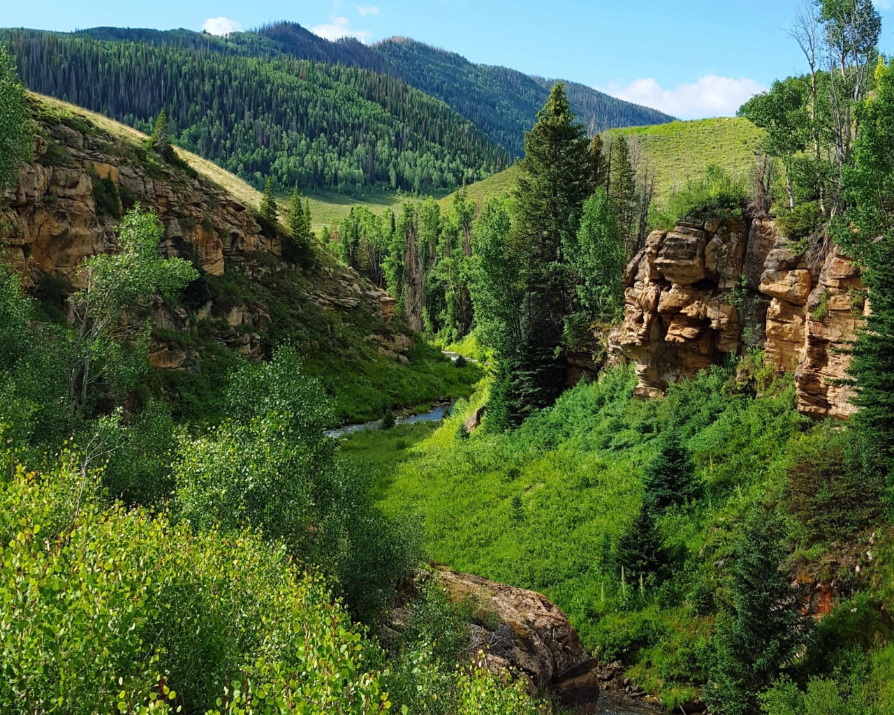 Каменные скалы среди поросших лесом холмов