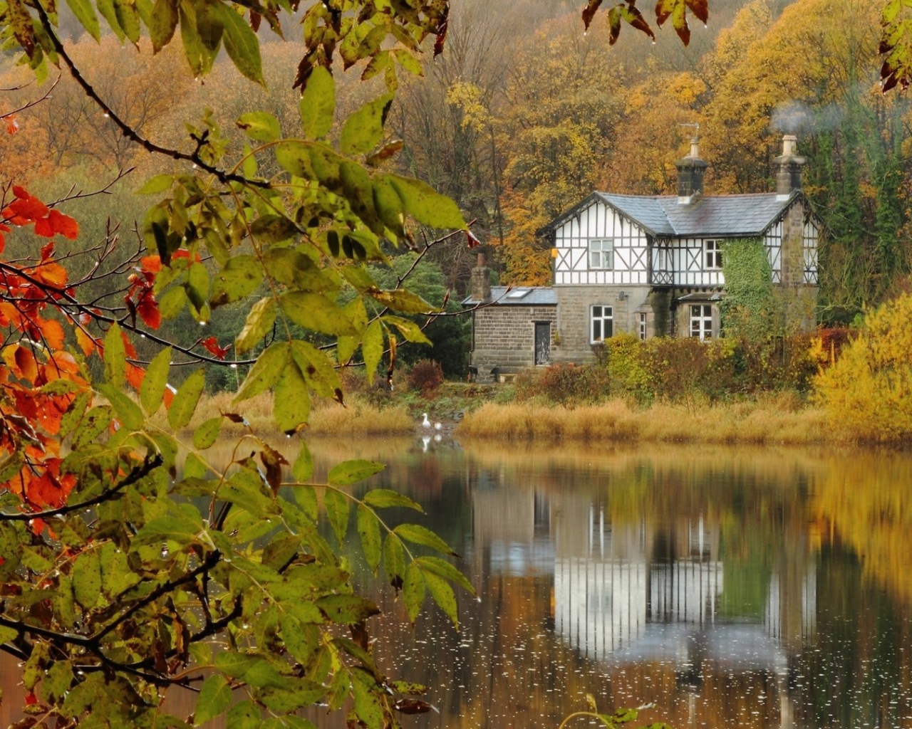 Каменный жилой дом среди леса