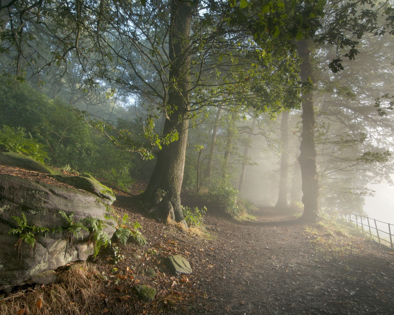 Дорога в горном парке