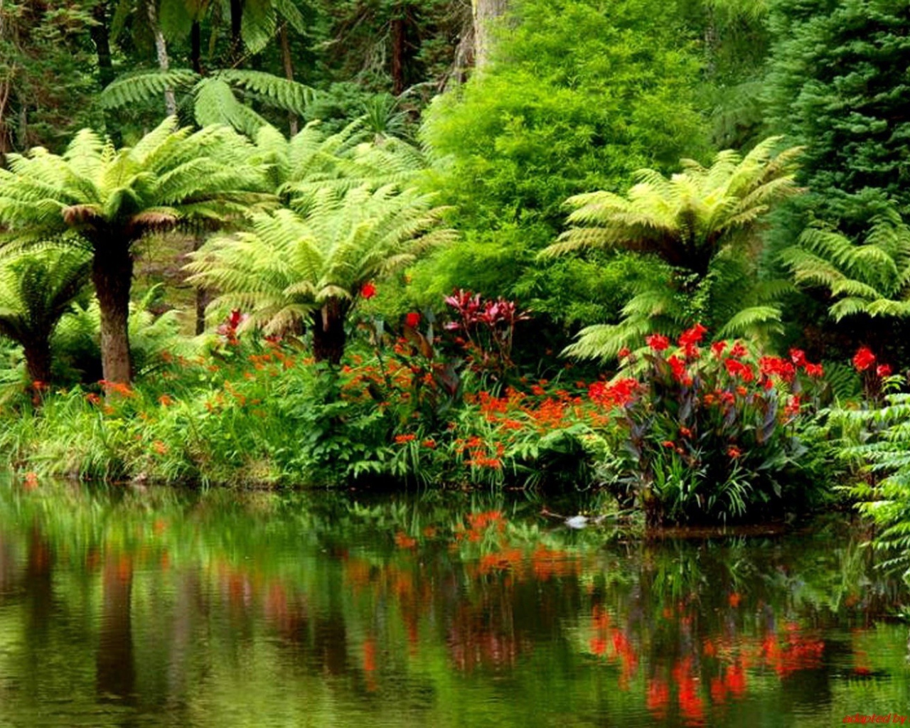 Тропический лес на берегу реки