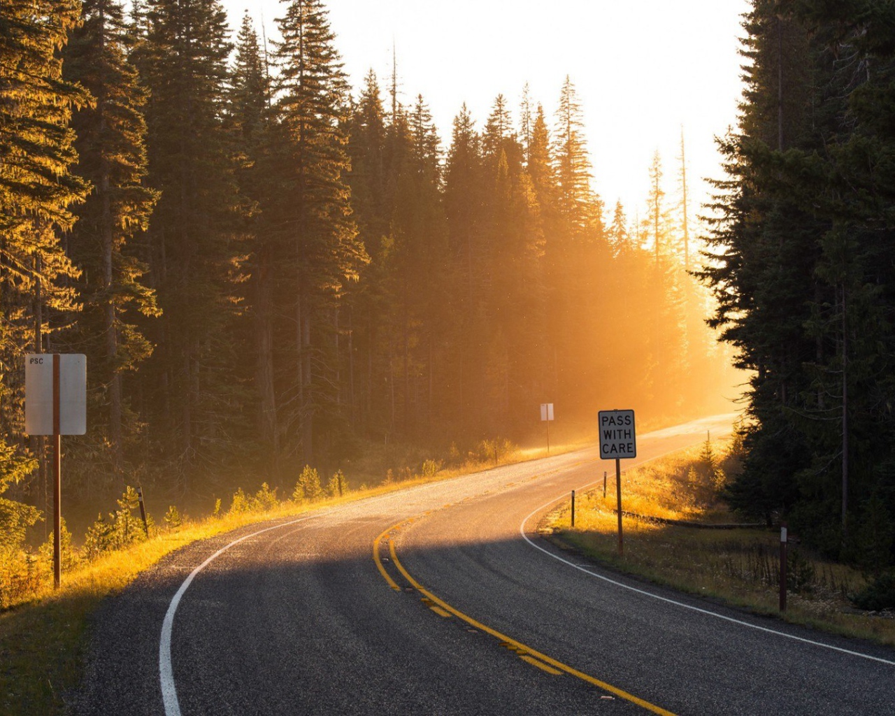 Поворот на лесной дороге