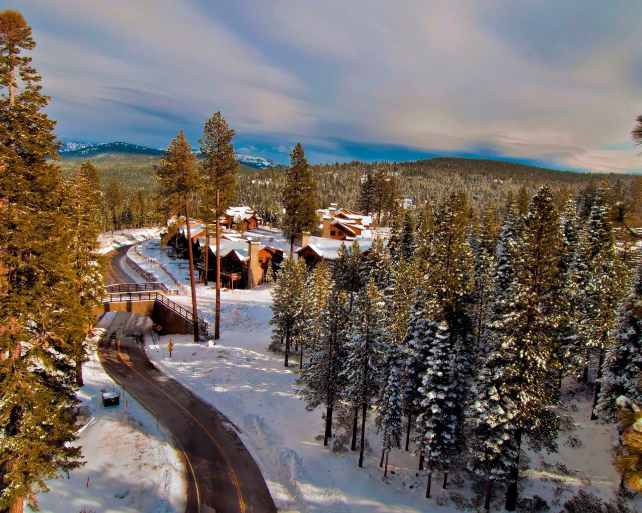 Поселок в зимнем лесу