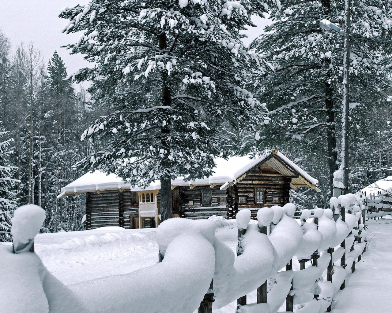 Деревянный дом в чаще зимнего леса