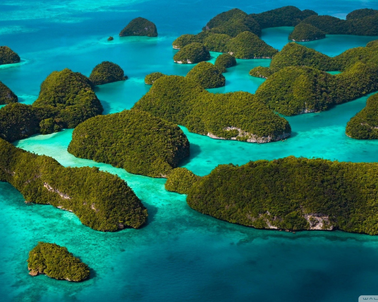 Покрытые лесом острова среди голубой воды