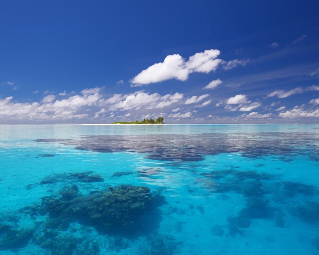 Райский остров среди мелководья