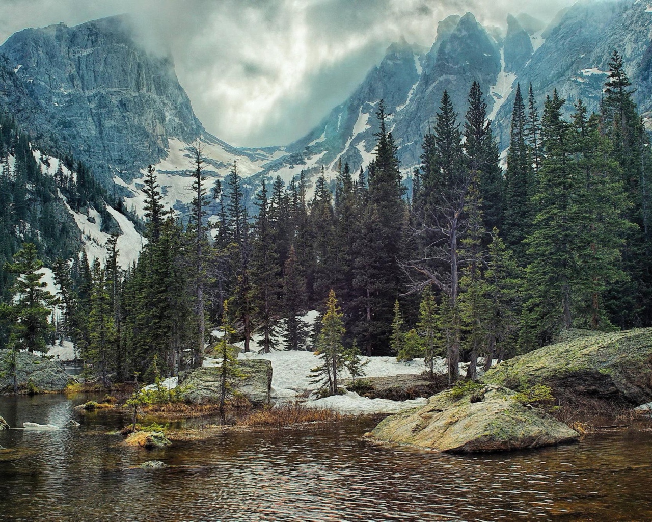 Хвойные деревья у реки в горах