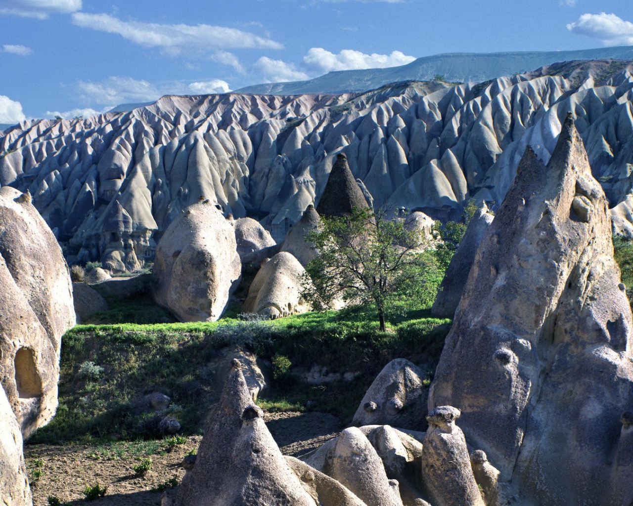 Поле конусо подобных скал в горах