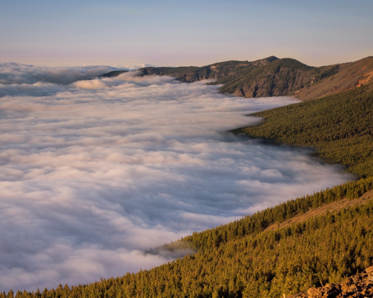 Туман в долине