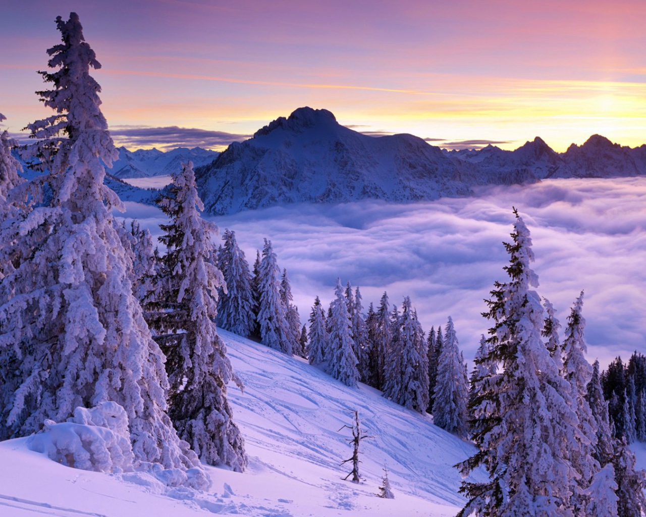 Волшебный зимний пейзаж в горах