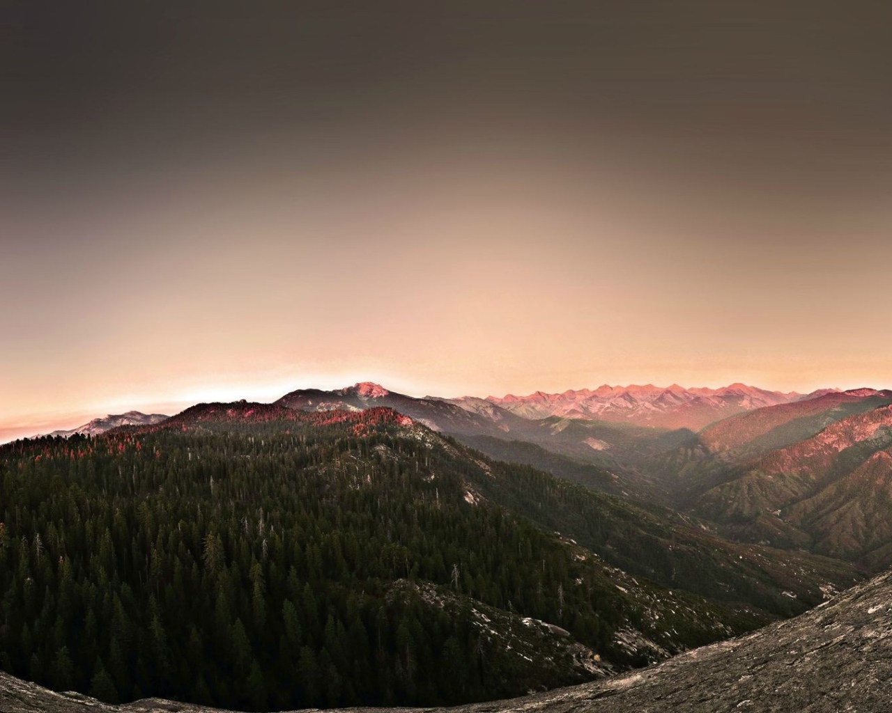 Поросшее хвойным лесом плоскогорье