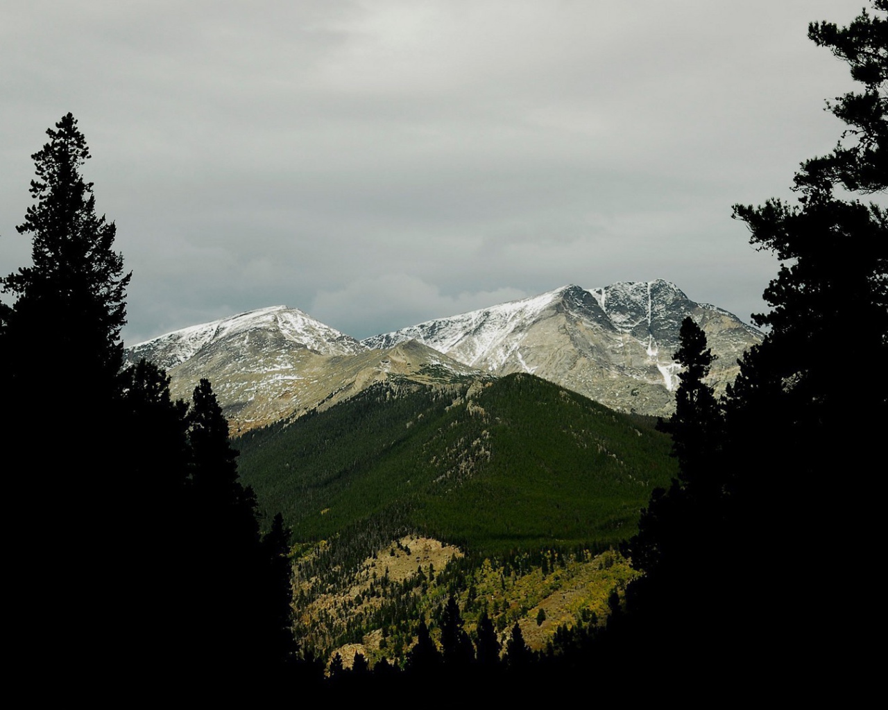 Фото гор среди деревьев