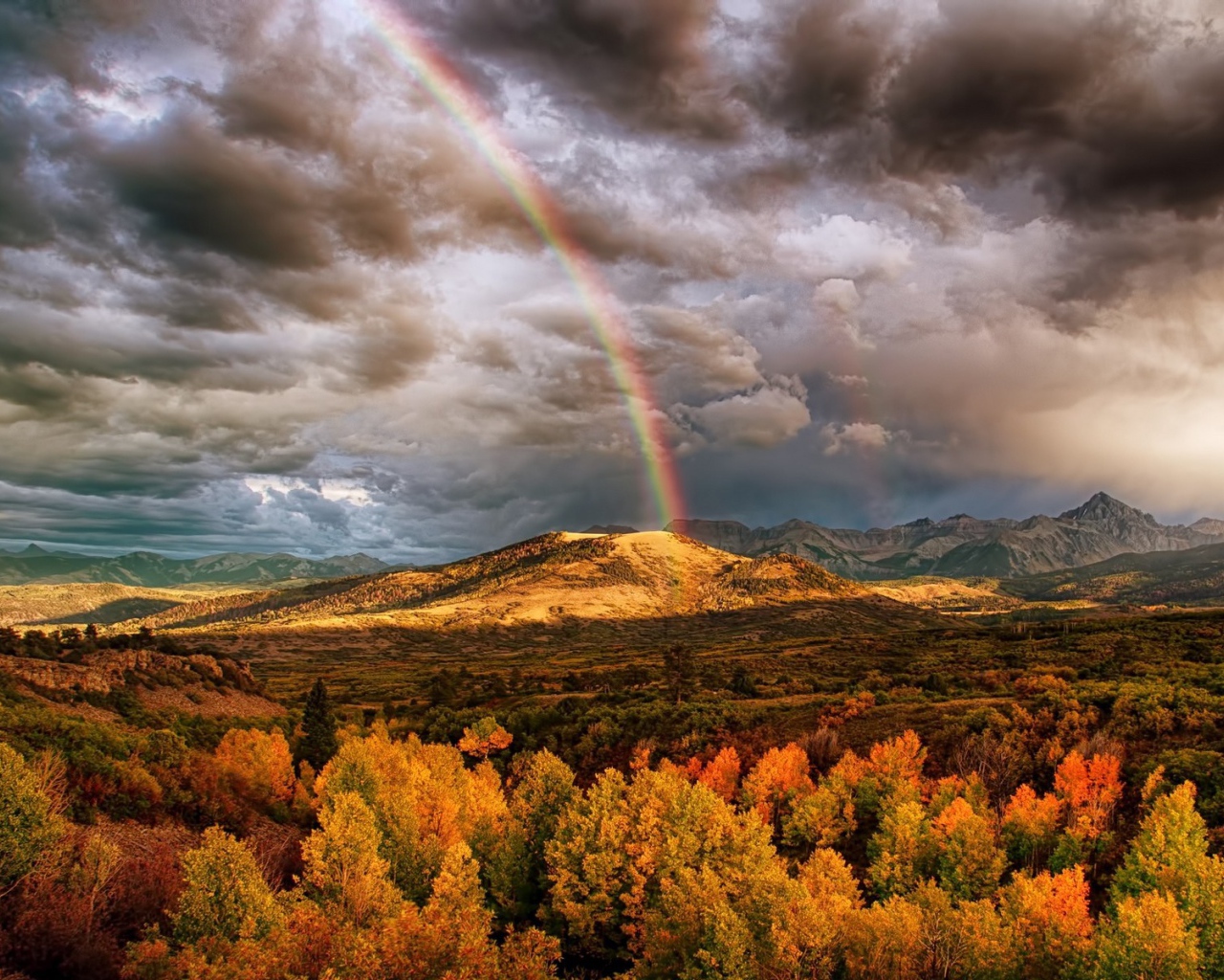 Радуга над лесом в горах