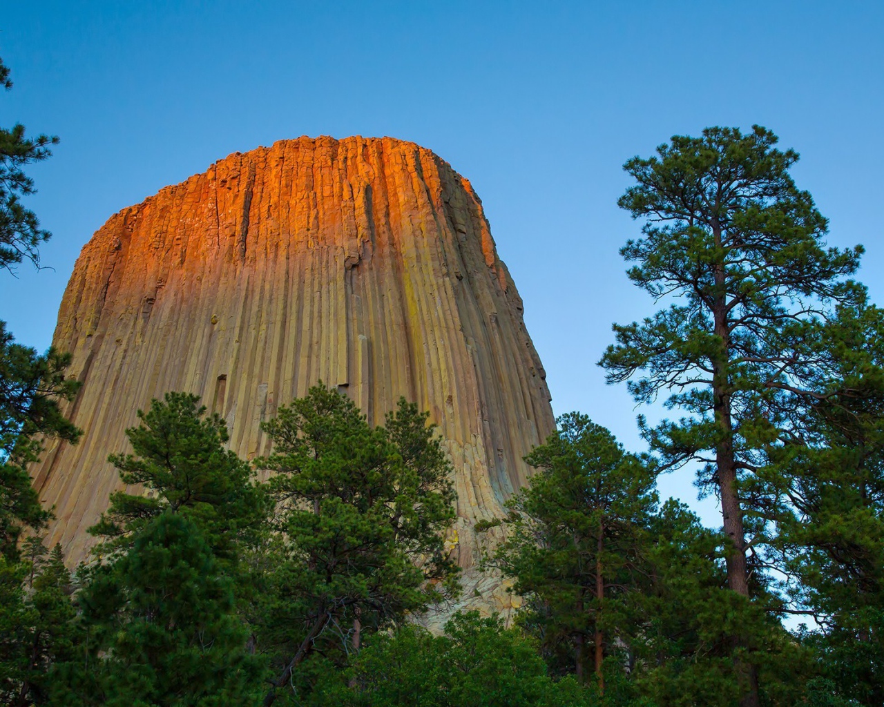 Скала с вертикальными бороздами