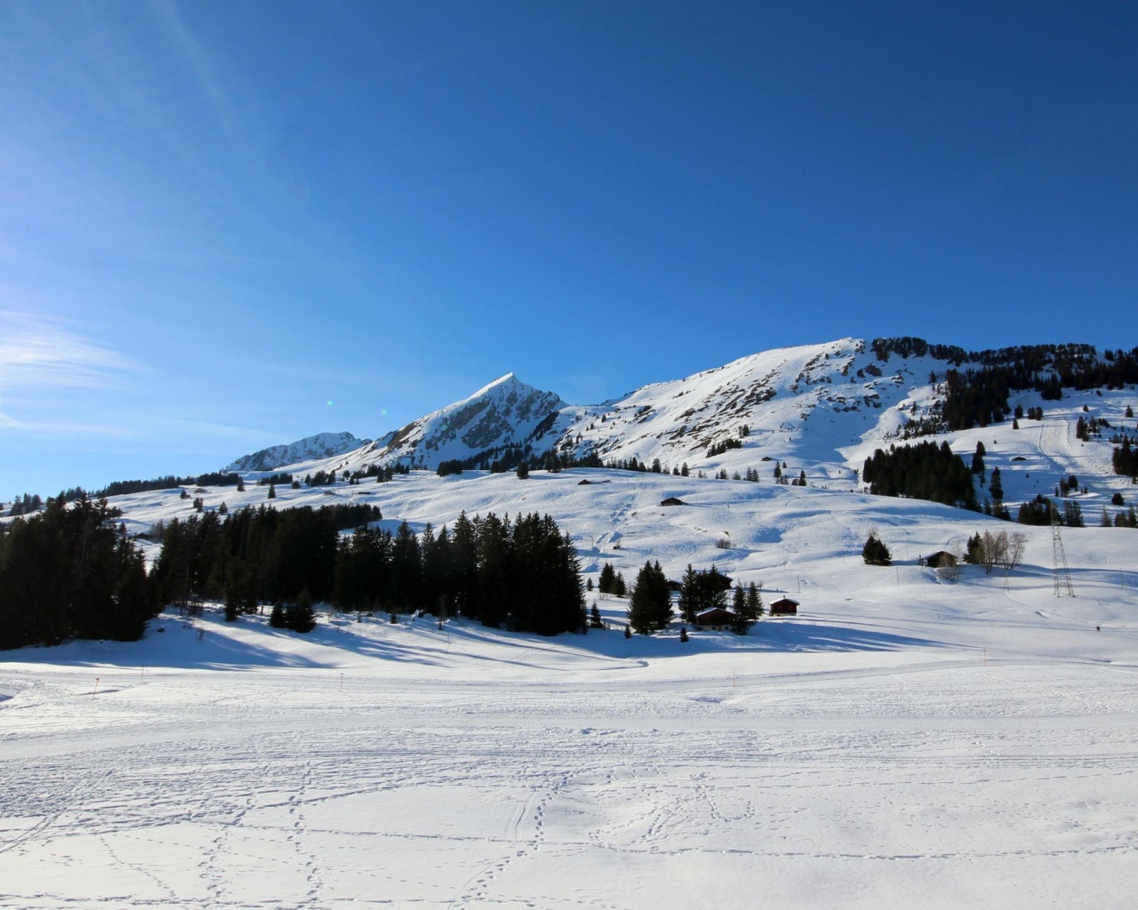 Лыжная трасса в горах