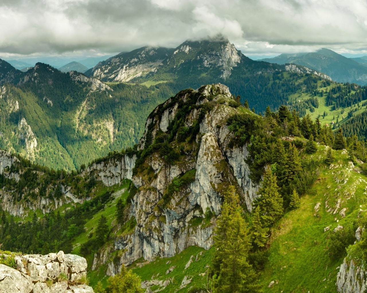 Каменная гора поросла лесом