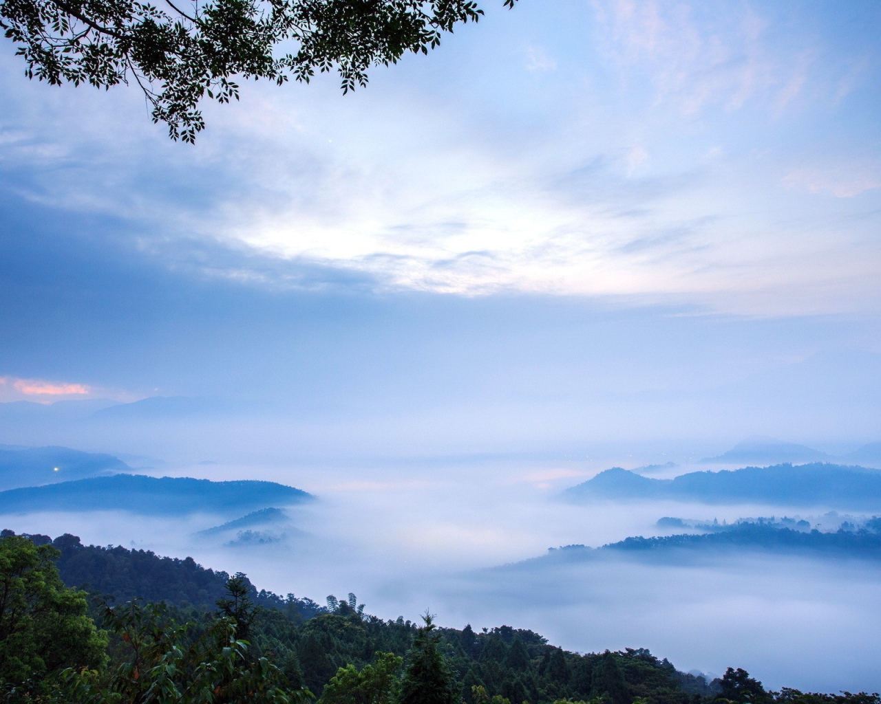 Густой туман в горах