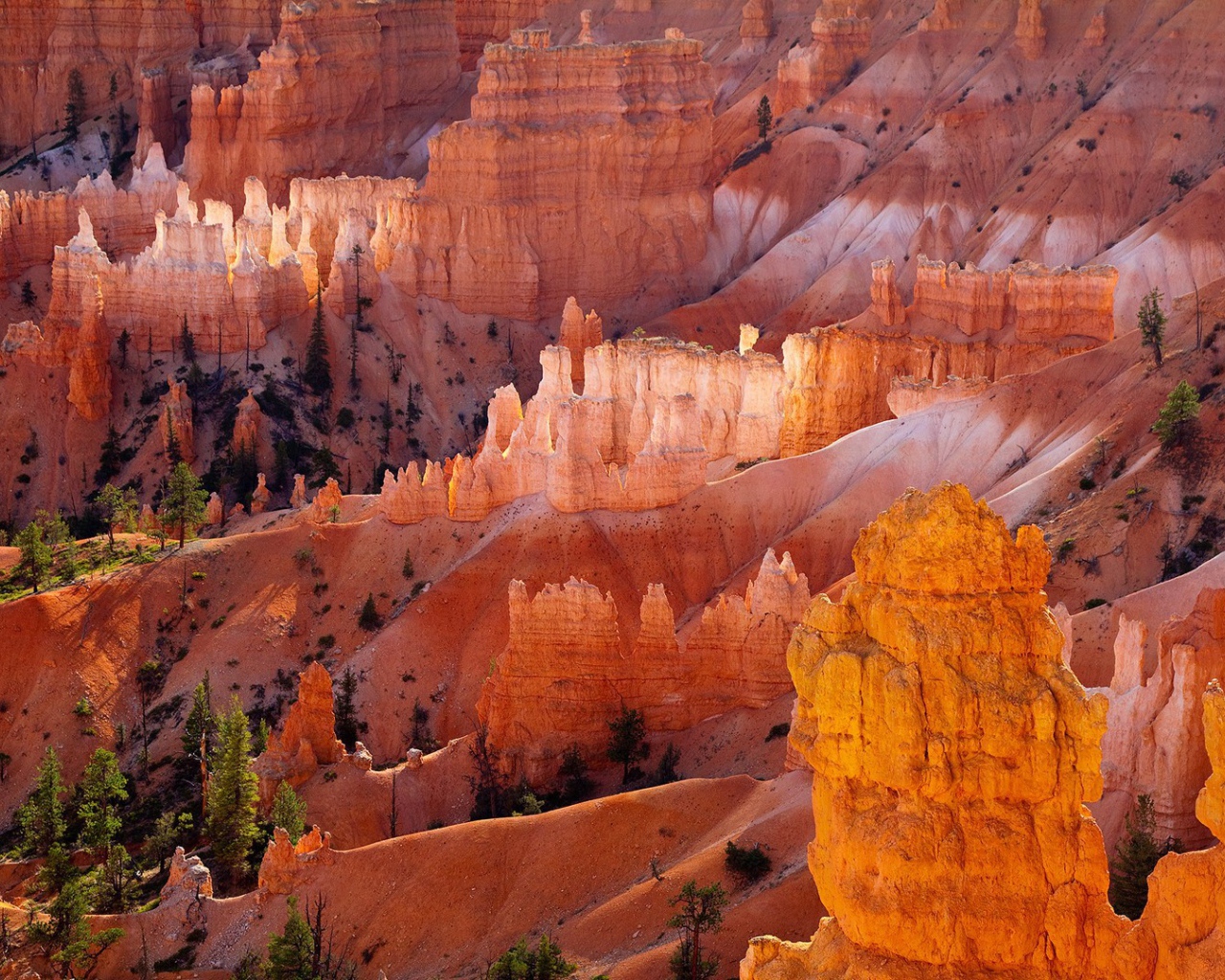 Желтый скалистый каньон