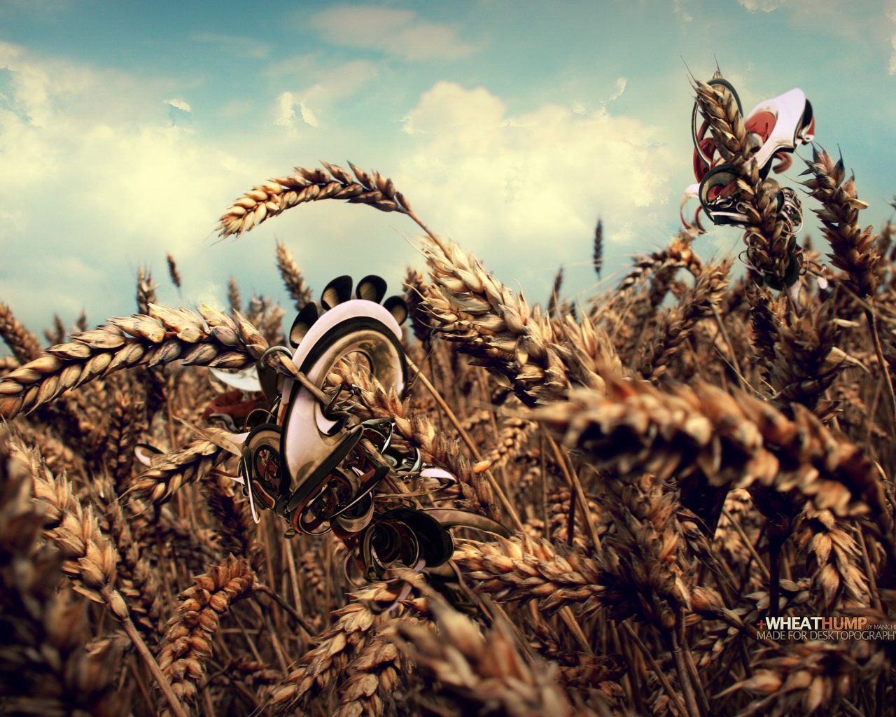 Робот в пшеничном поле