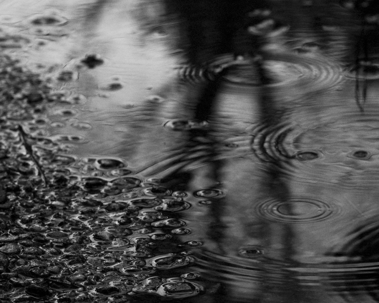 Черно белое фото лужи после дождя